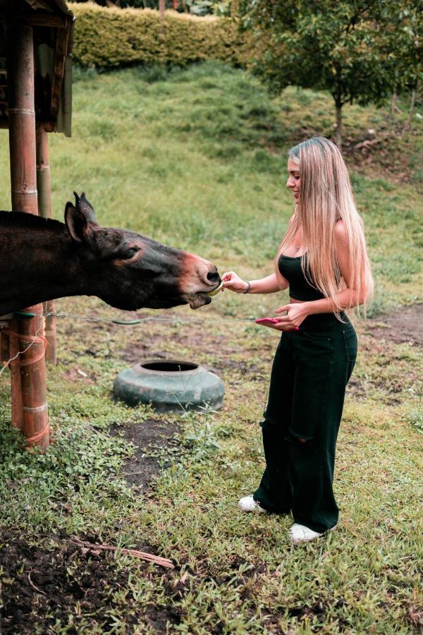 Vila Chamí Glamping Manizales Exteriér fotografie