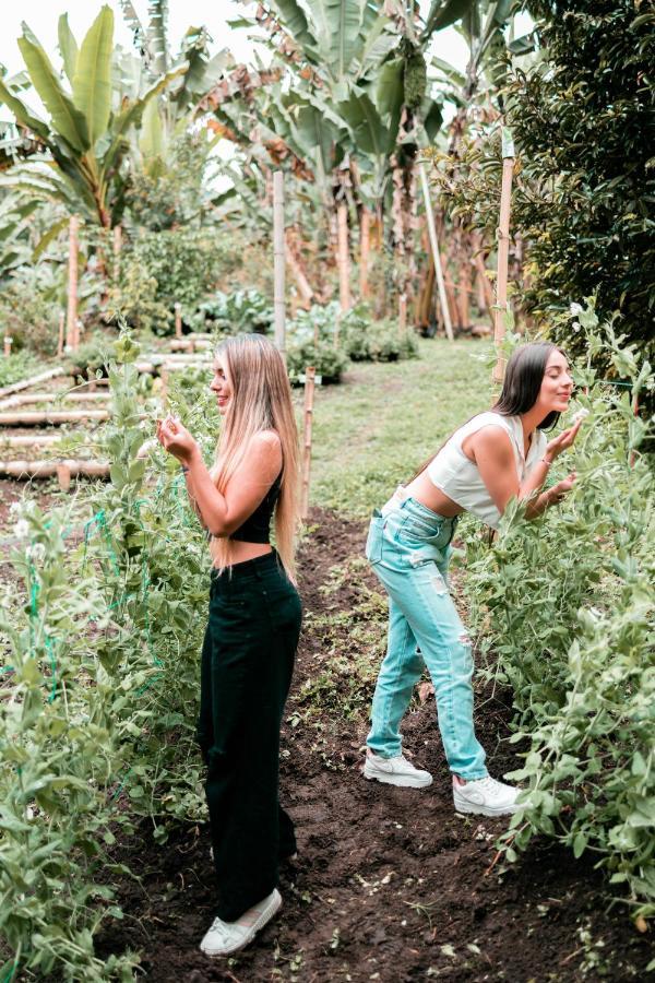 Vila Chamí Glamping Manizales Exteriér fotografie
