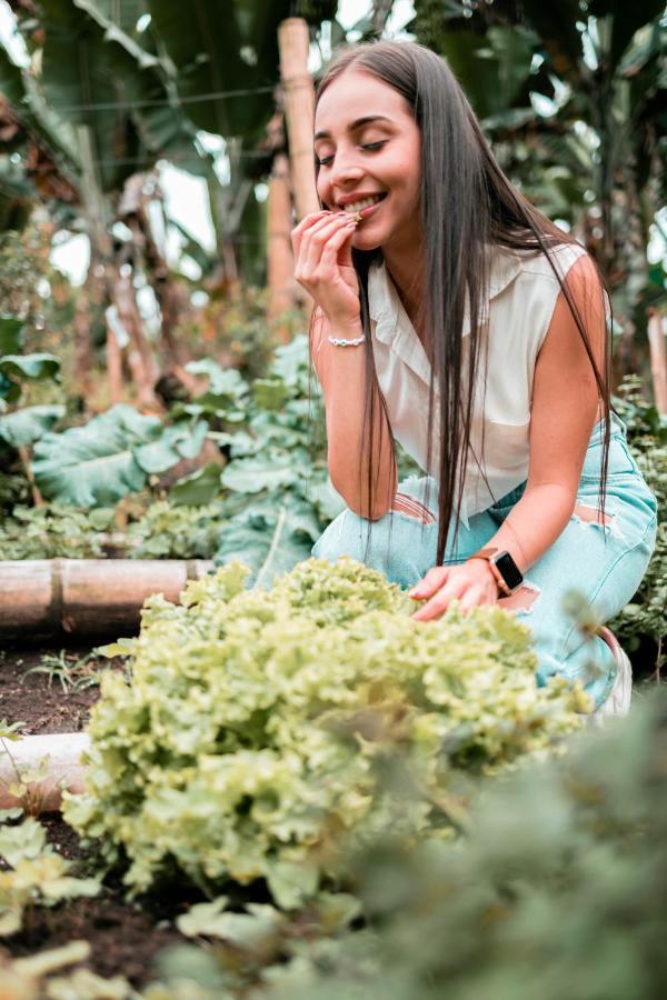 Vila Chamí Glamping Manizales Exteriér fotografie