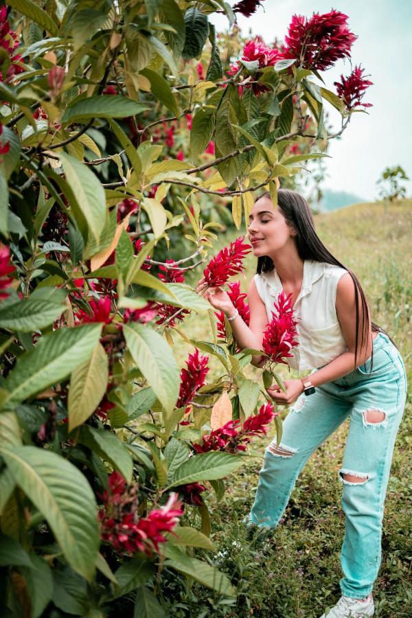 Vila Chamí Glamping Manizales Exteriér fotografie