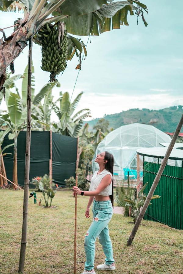 Vila Chamí Glamping Manizales Exteriér fotografie