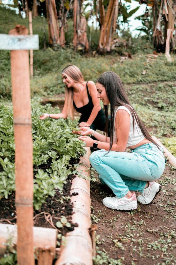 Vila Chamí Glamping Manizales Exteriér fotografie