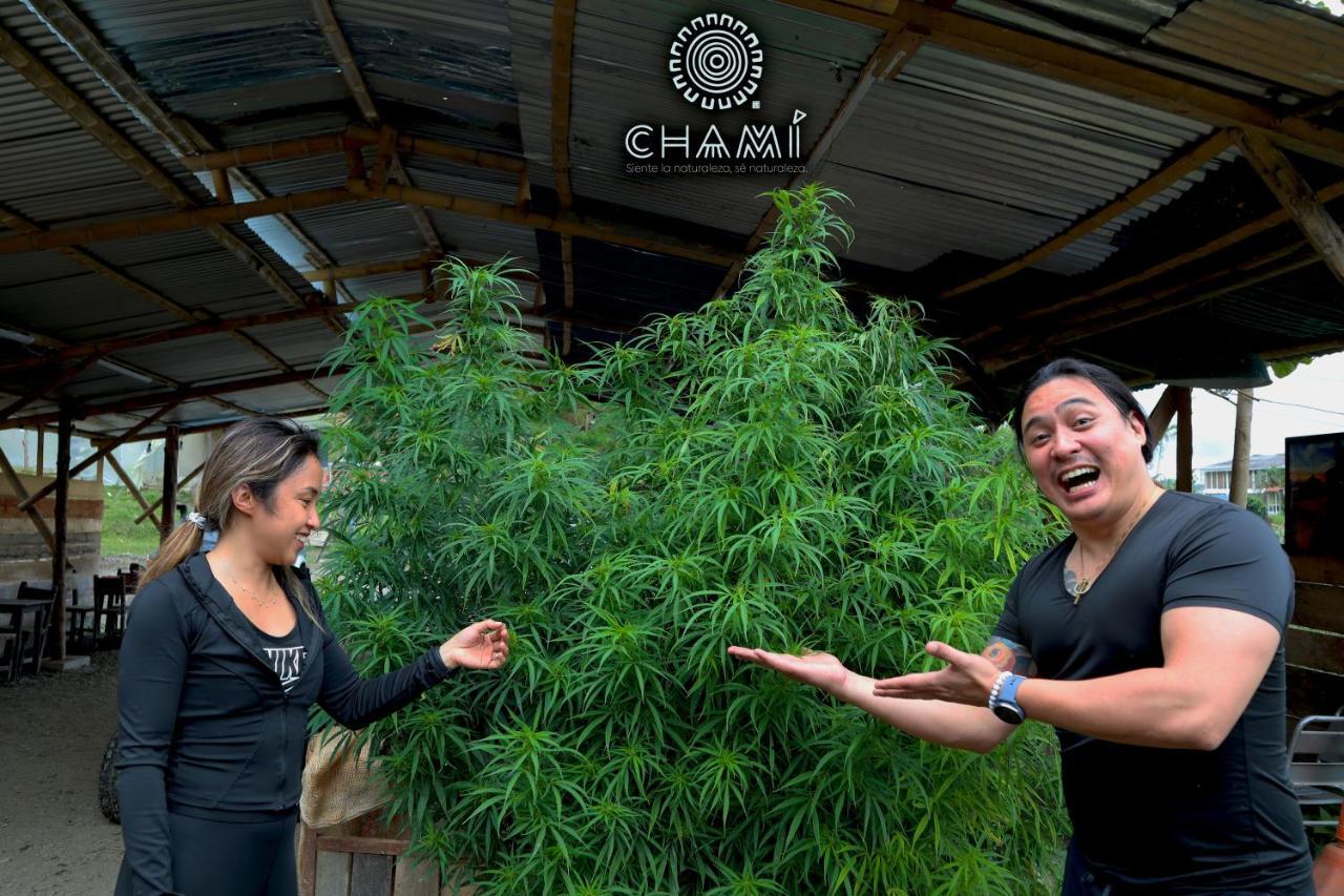 Vila Chamí Glamping Manizales Exteriér fotografie