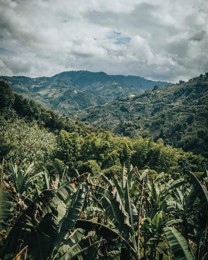 Vila Chamí Glamping Manizales Exteriér fotografie