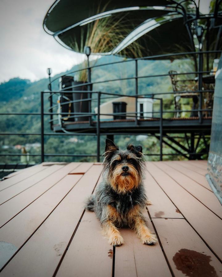Vila Chamí Glamping Manizales Exteriér fotografie