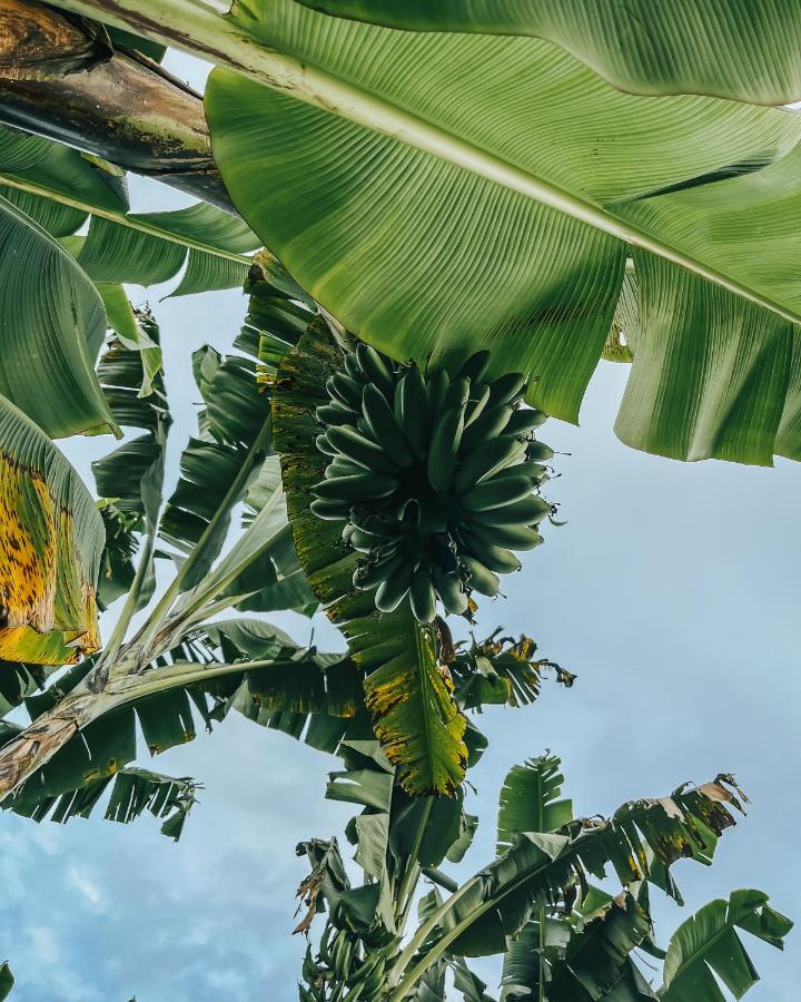 Vila Chamí Glamping Manizales Exteriér fotografie