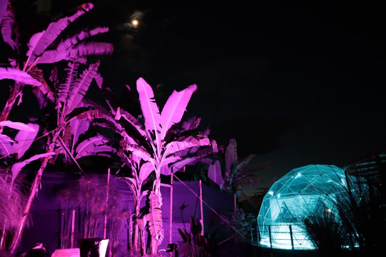 Vila Chamí Glamping Manizales Exteriér fotografie