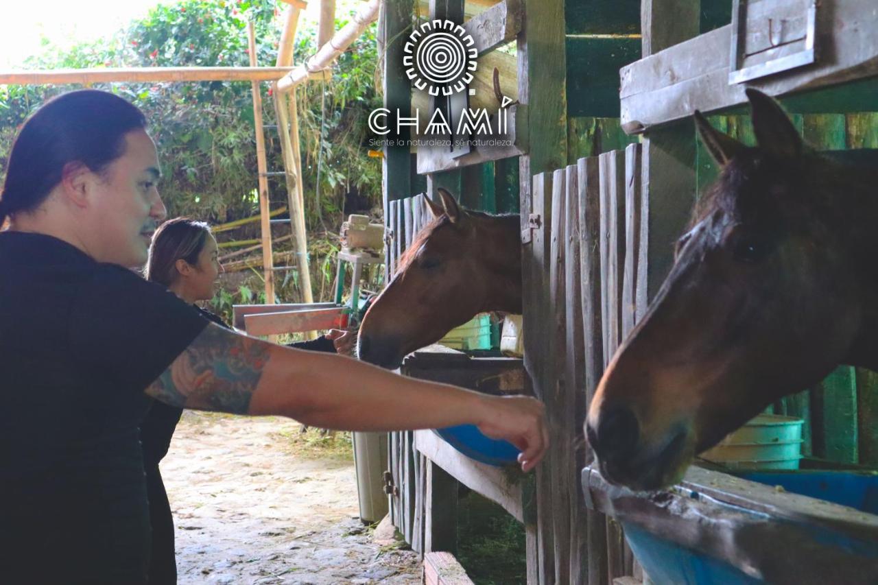Vila Chamí Glamping Manizales Exteriér fotografie