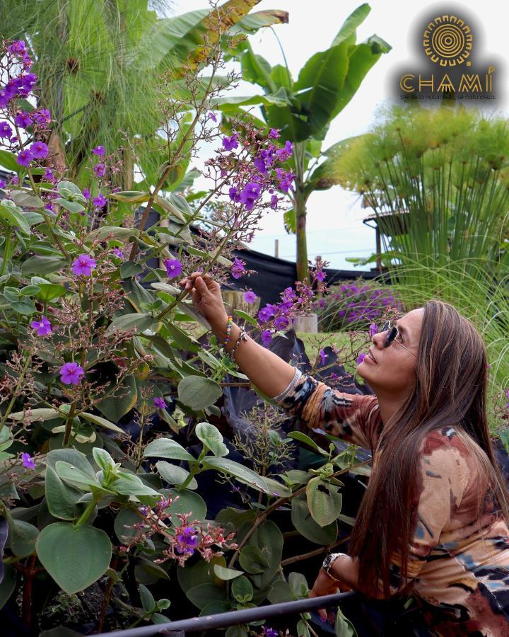 Vila Chamí Glamping Manizales Exteriér fotografie